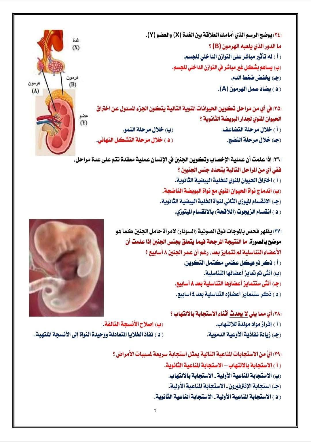 إجابات النموذج الاسترشادي السابع أحياء 2026  4